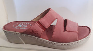 Εικόνα της A800-62  SAFE STEP